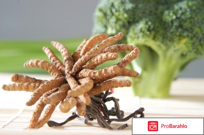 Кордицепс купить 