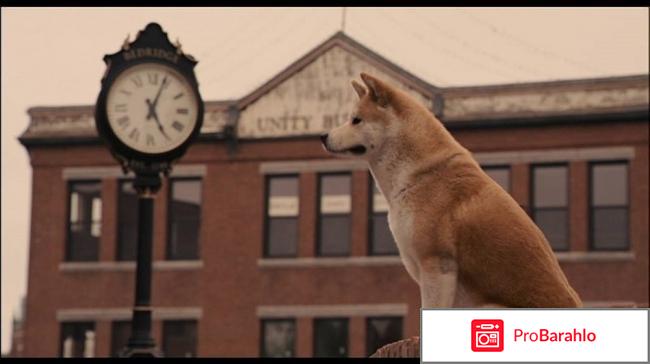 Интересные фильмы отзывы обман