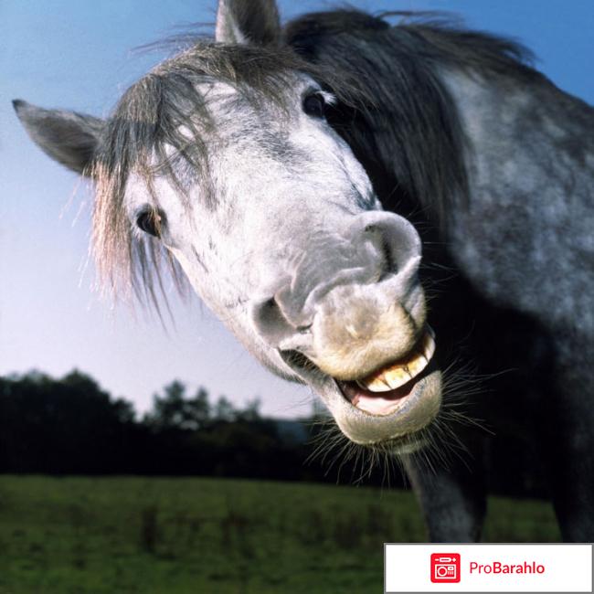 Конский возбудитель для женщин отзывы где купить обман