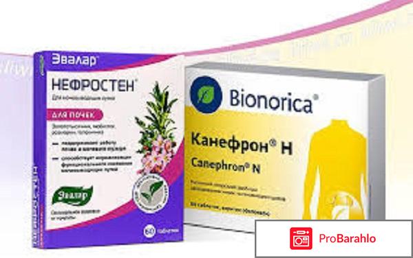 Аналог канефрона от эвалар 
