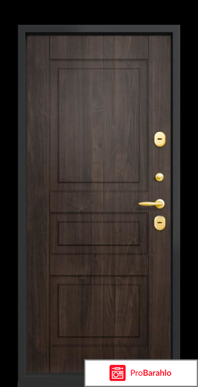 Termo: входные двери 