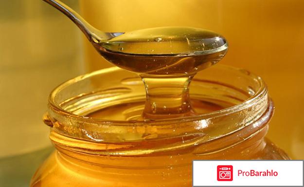 Лимон имбирь мед отрицательные отзывы