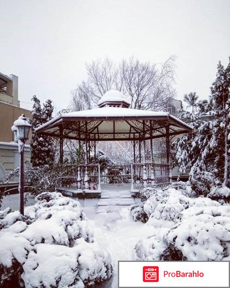 Ксиоми отзывы покупателей отрицательные отзывы