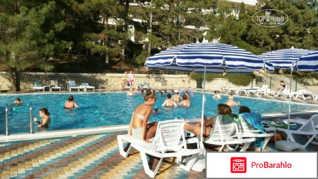 Ток судак отдыхающих 2017 фото