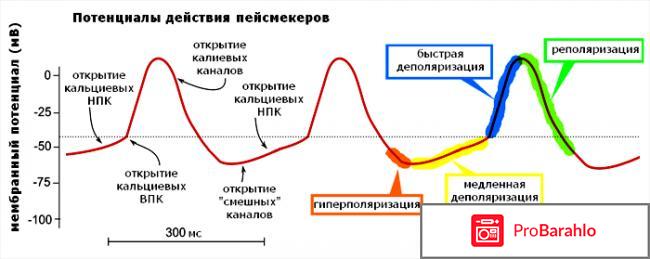 Препараты для повышения потенции у мужчин отрицательные отзывы