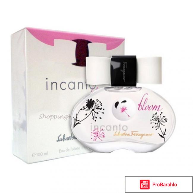 Incanto bloom 