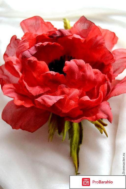 Красная брошь обман