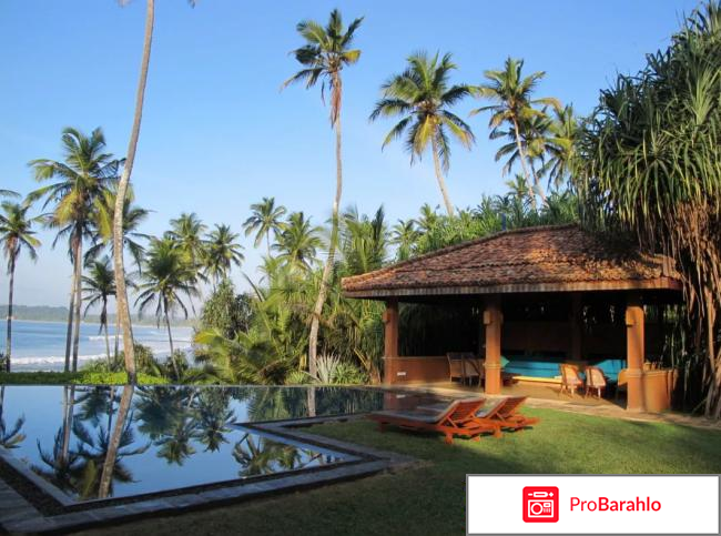 Шри ланка в декабре отзывы туристов фото