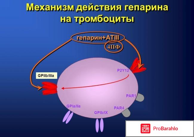 Проктоседил мазь цена отзывы и эффективность обман
