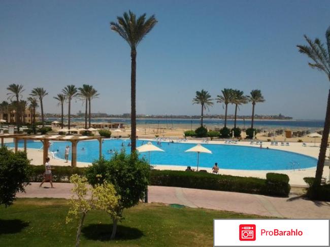 Cleopatra luxury resort makadi bay