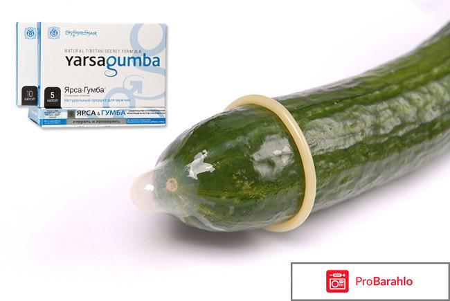 Ярсагумба купить в москве 
