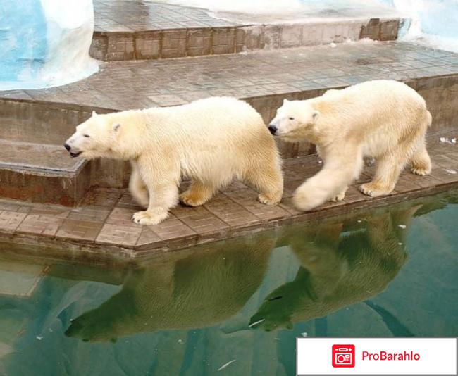 Экскурсия по городу Новосибирск 