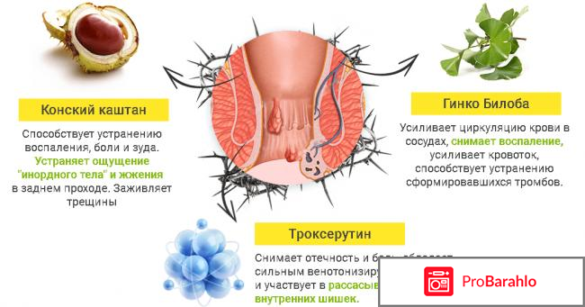 Regemo реальные отзывы