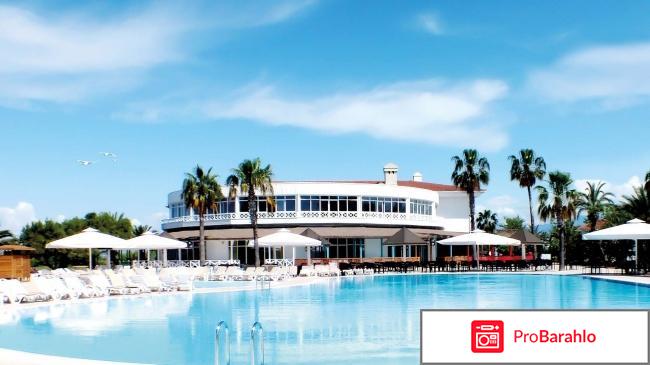Euphoria palm beach resort 5 отрицательные отзывы