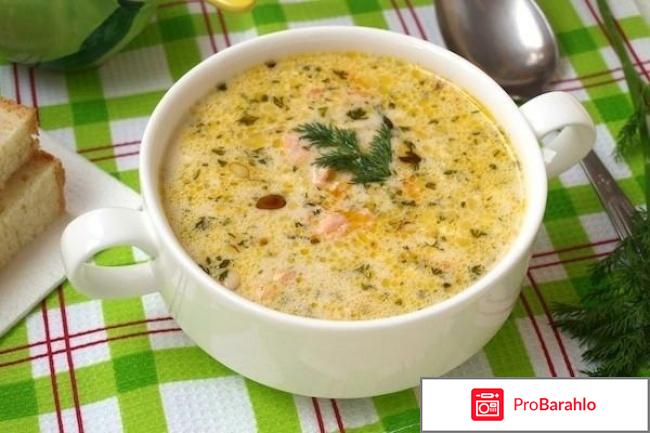 Как приготовить сырный суп правильно и вкусно? отрицательные отзывы