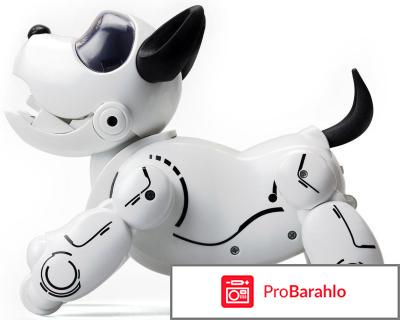 Собака робот silverlit pupbo отзывы покупателей отрицательные отзывы