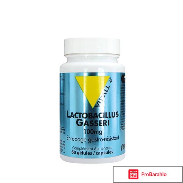 Lactobacillus gasseri. Используется для улучшения... 