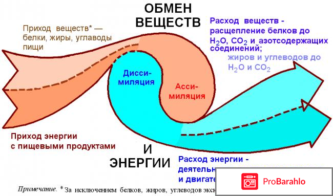 Нутрикомплекс  (Nutricomplex) обман