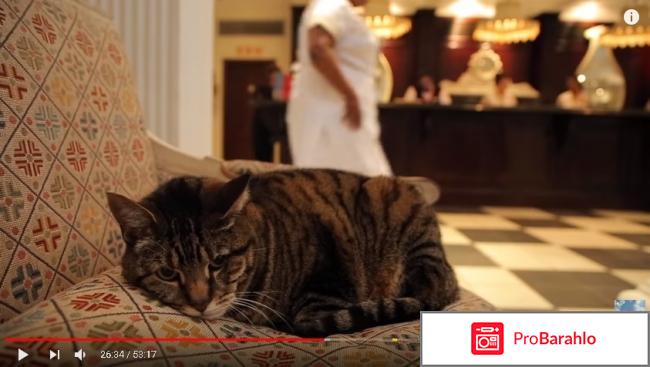 Орёл и Решка. Дурбан.Звёзды с Катериной Варнавой и Колей Сергой фото