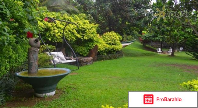 Ocean dreams hotel 3 шри ланка обман