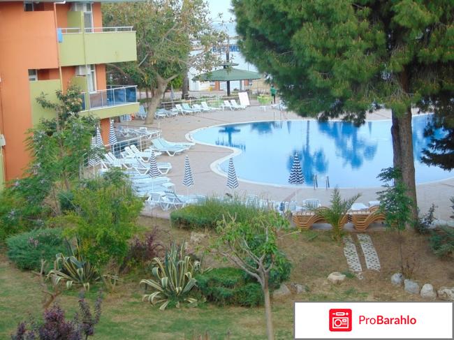 Lonicera World 4?, Турция, Аланья обман