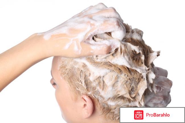 Шампуни сиберика 