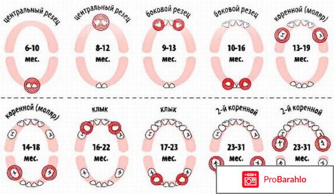 Как понять что режутся зубки 