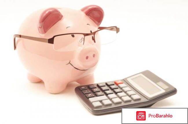 Шпанская мушка капли отзывы обман