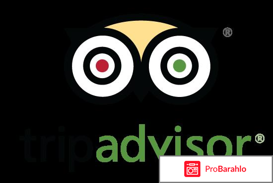 Трипэдвайзер отрицательные отзывы