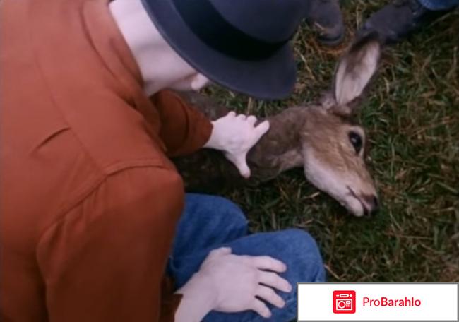 Фильм пудра отзывы фото