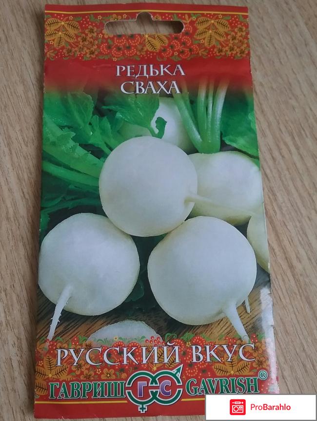 Семена редьки 