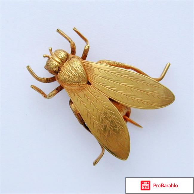 Gold fly возбудитель для женщин отзывы отрицательные отзывы