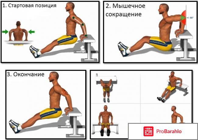 Упражнения для груди отрицательные отзывы