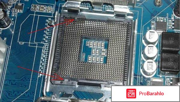 Asrock g31m s обман