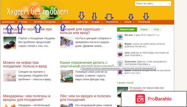 Диеты : Сайт о похудении ХУДЕЕМ без проблем! 