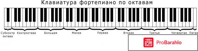 Сколько октав у пианино 