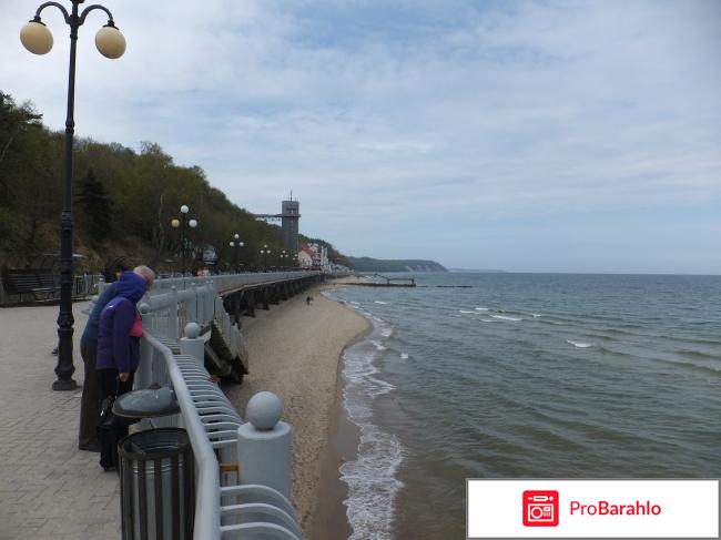 Светлогорск отзывы туристов 