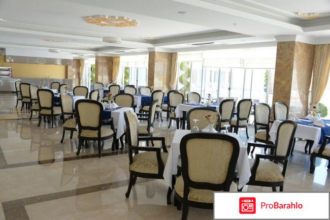 Турция из волгограда обман