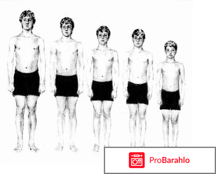 Половое созревание мальчиков 