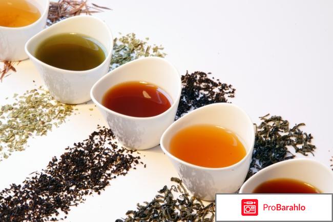 Чай из китая оптом отрицательные отзывы