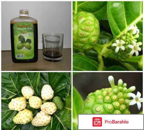 Сок нони эвалар отрицательные отзывы