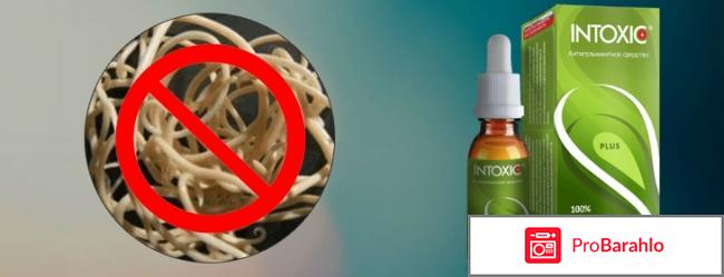 Intoxic реальные отзывы обман