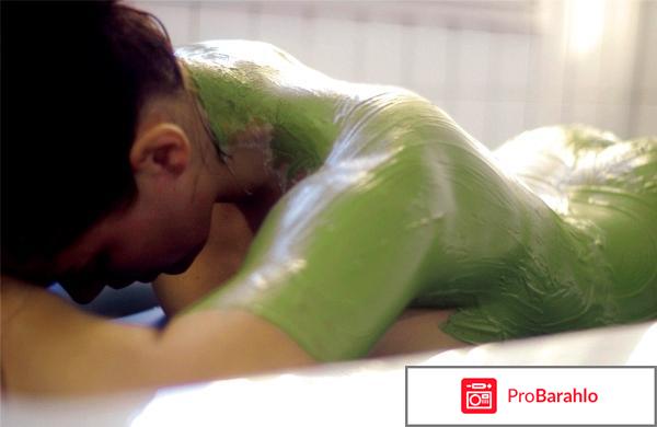 Водоросли ламинария 