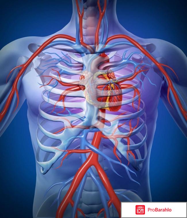 Рибоксин состав препарата 