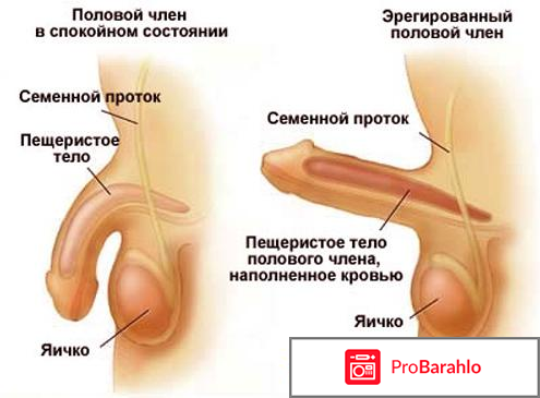 Кантаридин 