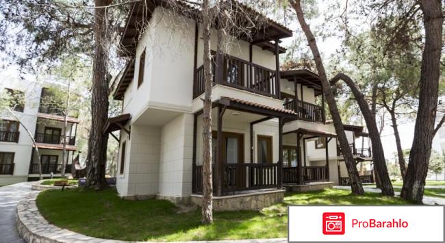 Соргун вояж Сиде реальные отзывы