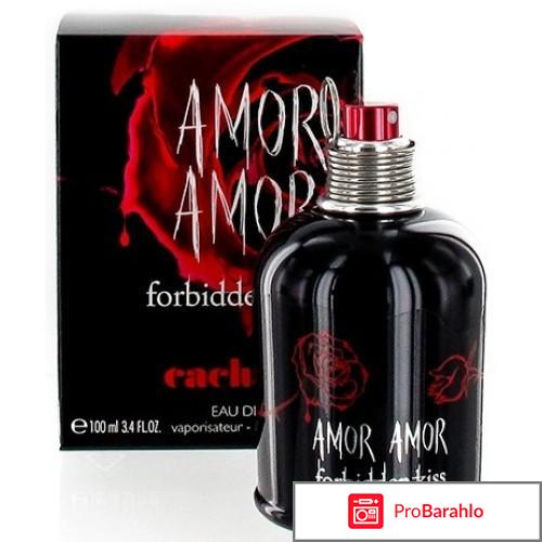 Amor amor forbidden kiss 