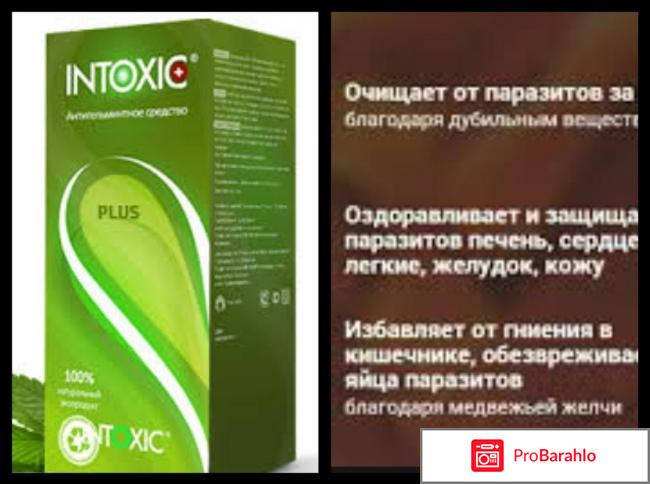 Intoxic plus отзывы 