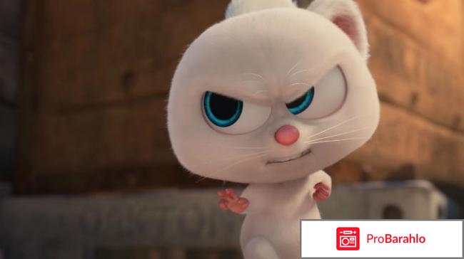 Реальная белка 2 мультфильм 2017 отзывы обман