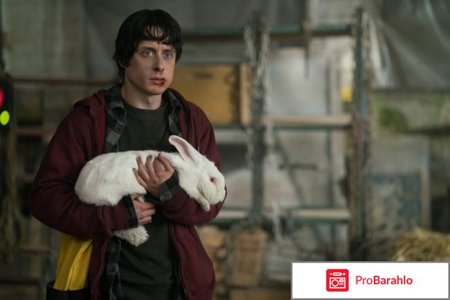 Фильм цепной пес 2017 отзывы обман